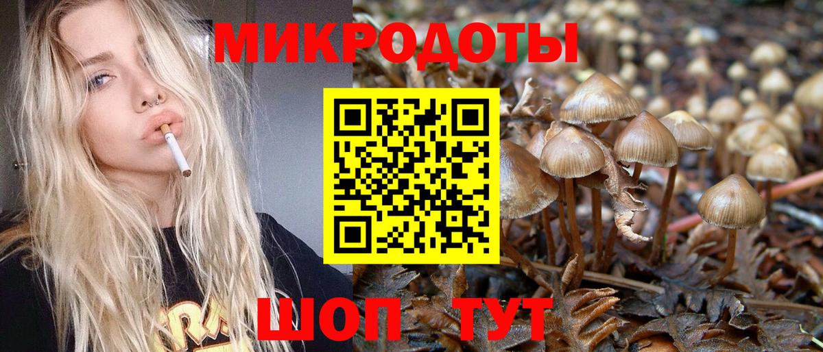 Вольск  Псилоцибиновые грибы MAGIC MUSHROOMS  Псилоцибиновые грибы GOLDEN TEACHER  где купить наркотик  Вход с VPN 